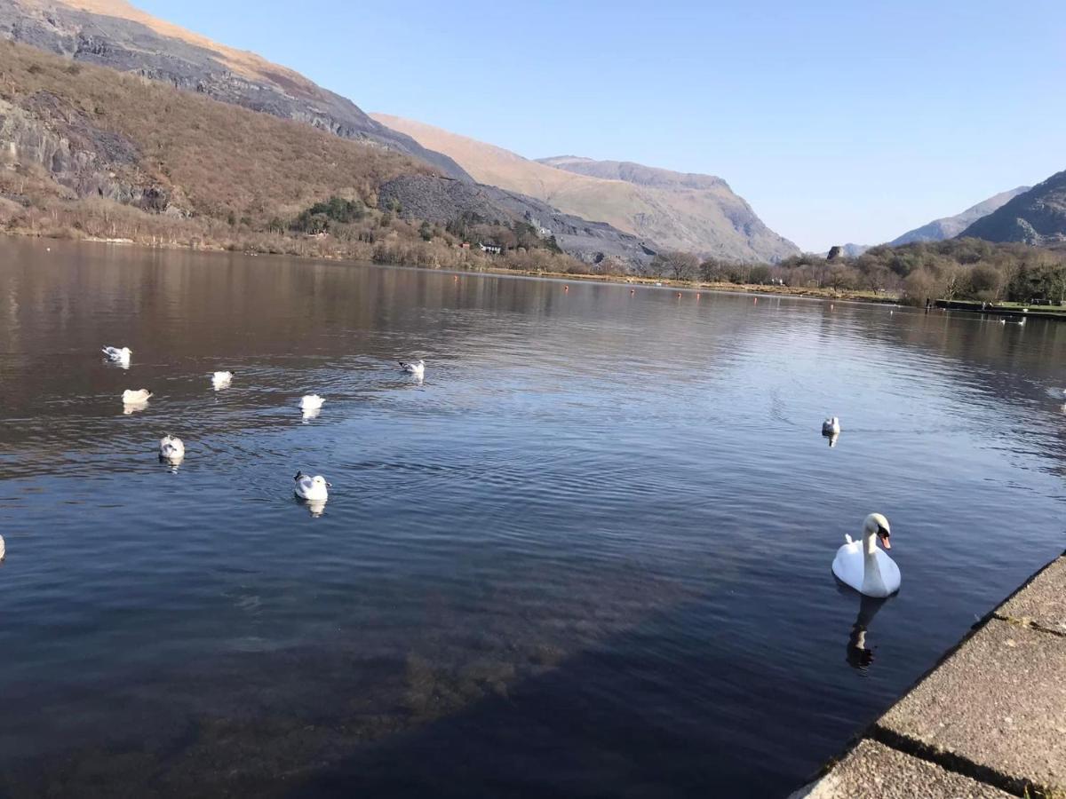 Llanberis Lodges Εξωτερικό φωτογραφία